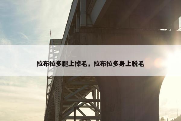 拉布拉多腿上掉毛，拉布拉多身上脱毛