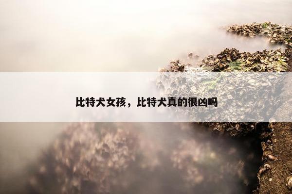 比特犬女孩，比特犬真的很凶吗