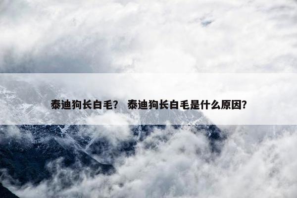 泰迪狗长白毛？ 泰迪狗长白毛是什么原因？