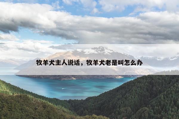 牧羊犬主人说话，牧羊犬老是叫怎么办
