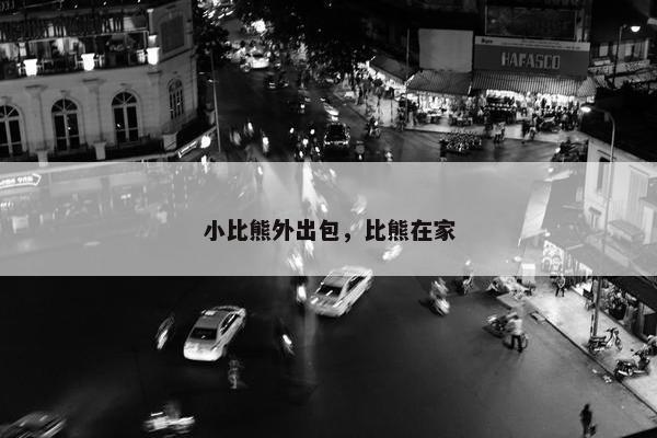 小比熊外出包，比熊在家