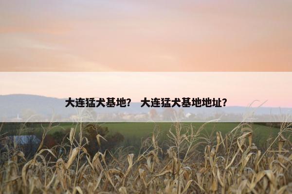 大连猛犬基地？ 大连猛犬基地地址？