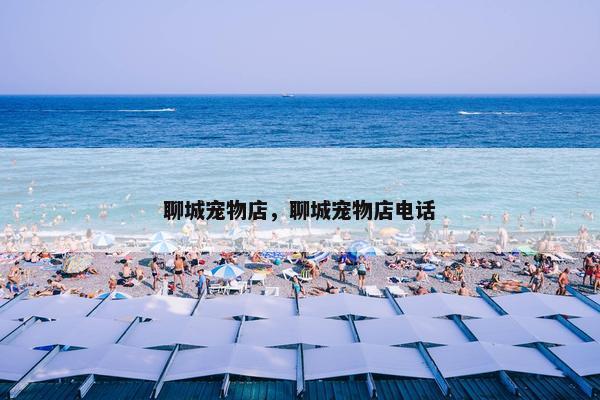 聊城宠物店，聊城宠物店电话