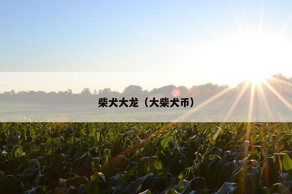 柴犬大龙（大柴犬币）