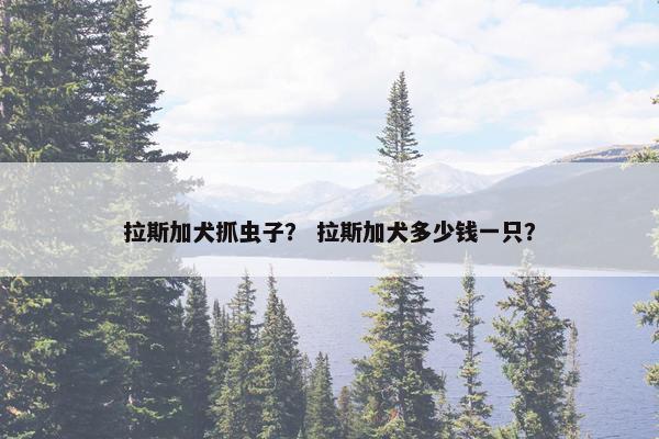 拉斯加犬抓虫子？ 拉斯加犬多少钱一只？