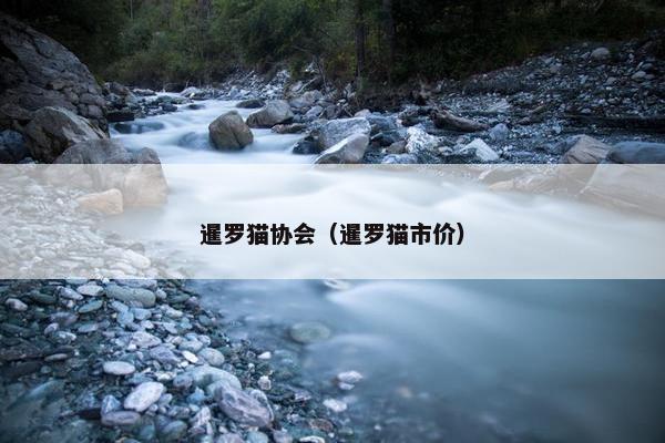 暹罗猫协会（暹罗猫市价）