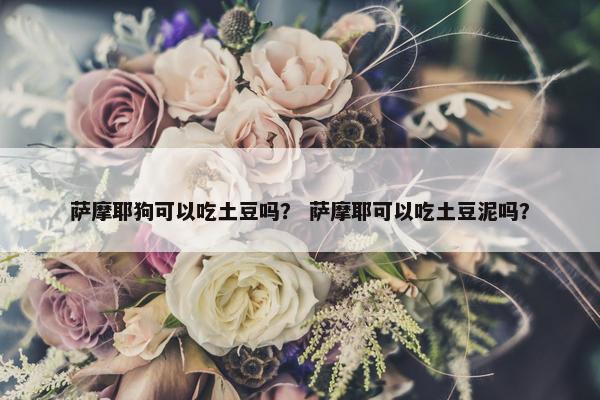 萨摩耶狗可以吃土豆吗？ 萨摩耶可以吃土豆泥吗？