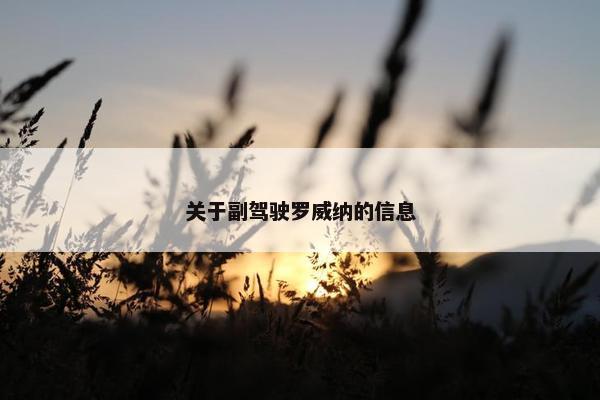 关于副驾驶罗威纳的信息