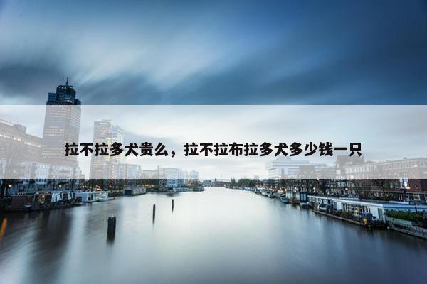拉不拉多犬贵么，拉不拉布拉多犬多少钱一只