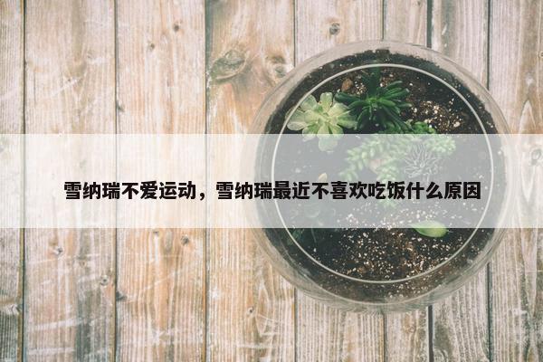 雪纳瑞不爱运动，雪纳瑞最近不喜欢吃饭什么原因