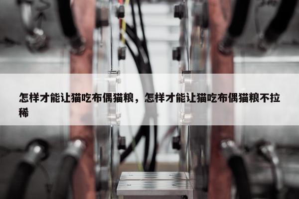 怎样才能让猫吃布偶猫粮，怎样才能让猫吃布偶猫粮不拉稀