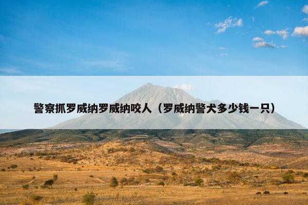 警察抓罗威纳罗威纳咬人（罗威纳警犬多少钱一只）