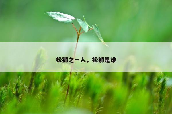 松狮之一人，松狮是谁