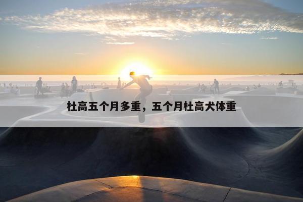 杜高五个月多重，五个月杜高犬体重