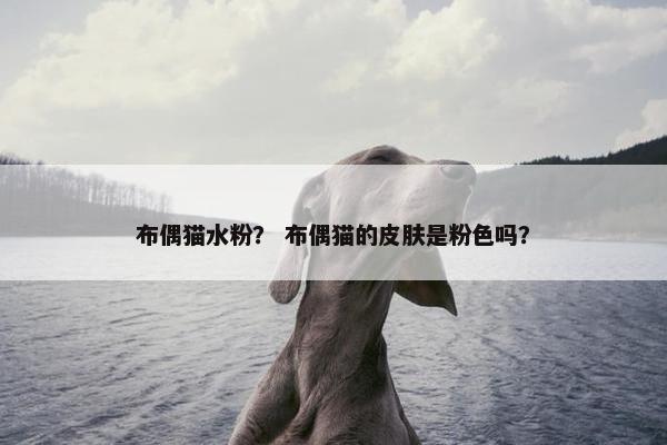 布偶猫水粉？ 布偶猫的皮肤是粉色吗？