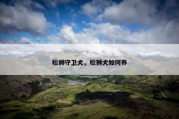 松狮守卫犬，松狮犬如何养