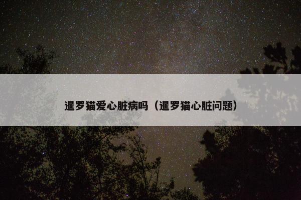 暹罗猫爱心脏病吗（暹罗猫心脏问题）