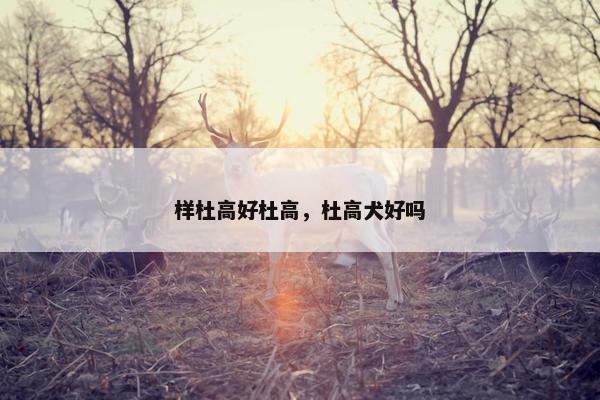 样杜高好杜高，杜高犬好吗