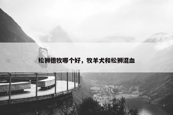松狮德牧哪个好，牧羊犬和松狮混血