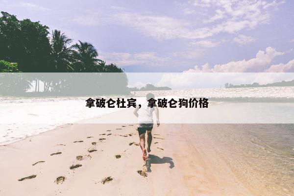 拿破仑杜宾，拿破仑狗价格