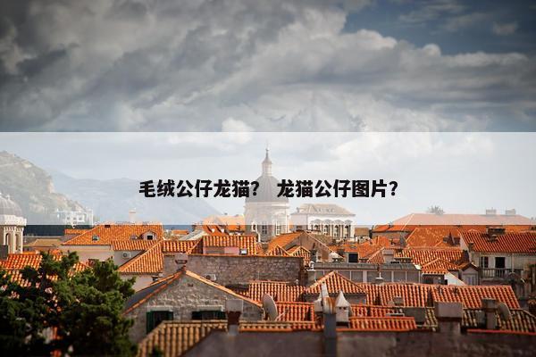 毛绒公仔龙猫？ 龙猫公仔图片？