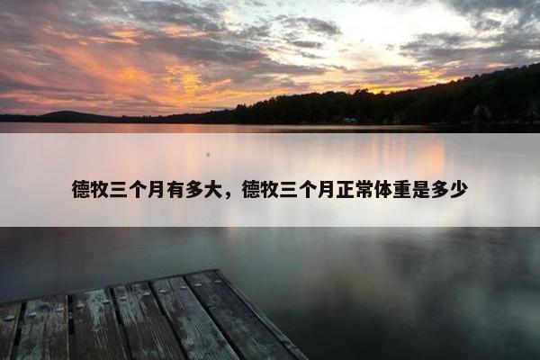 德牧三个月有多大，德牧三个月正常体重是多少