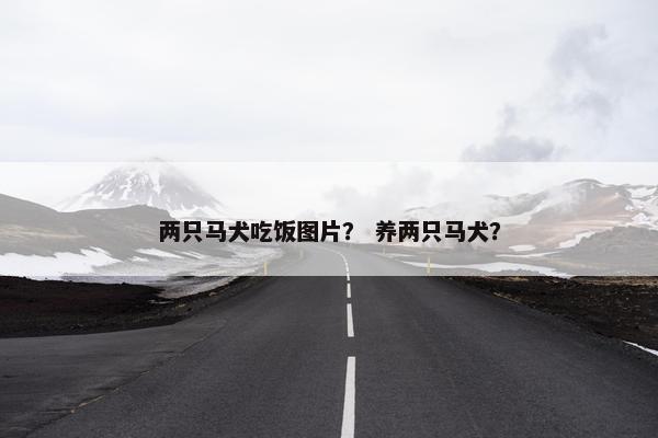 两只马犬吃饭图片？ 养两只马犬？