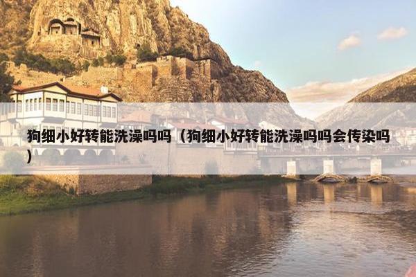 狗细小好转能洗澡吗吗（狗细小好转能洗澡吗吗会传染吗）
