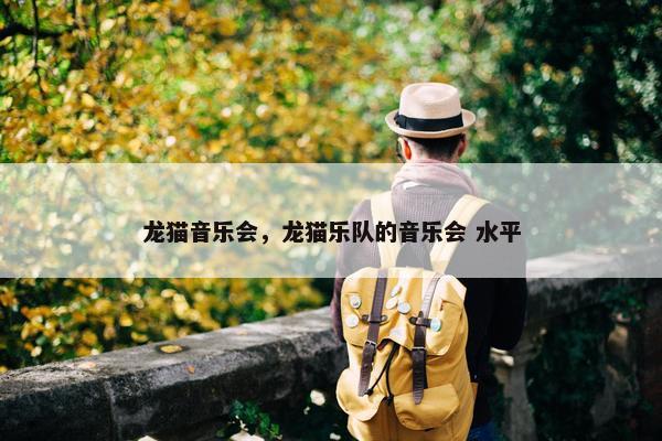 龙猫音乐会，龙猫乐队的音乐会 水平