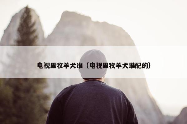 电视里牧羊犬谁（电视里牧羊犬谁配的）