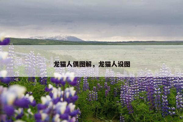 龙猫人偶图解，龙猫人设图