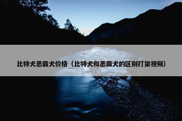 比特犬恶霸犬价格（比特犬和恶霸犬的区别打架视频）