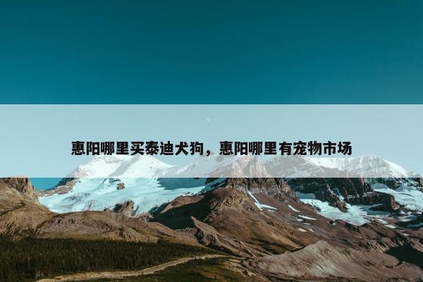 惠阳哪里买泰迪犬狗，惠阳哪里有宠物市场