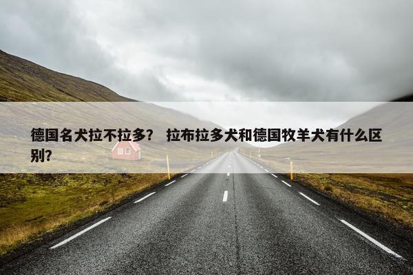 德国名犬拉不拉多？ 拉布拉多犬和德国牧羊犬有什么区别？