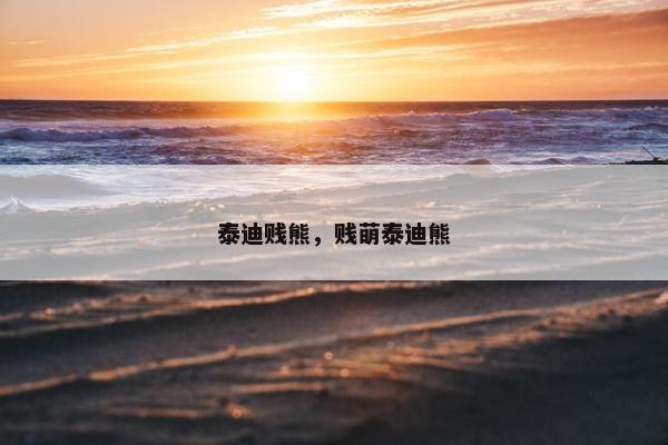 泰迪贱熊，贱萌泰迪熊