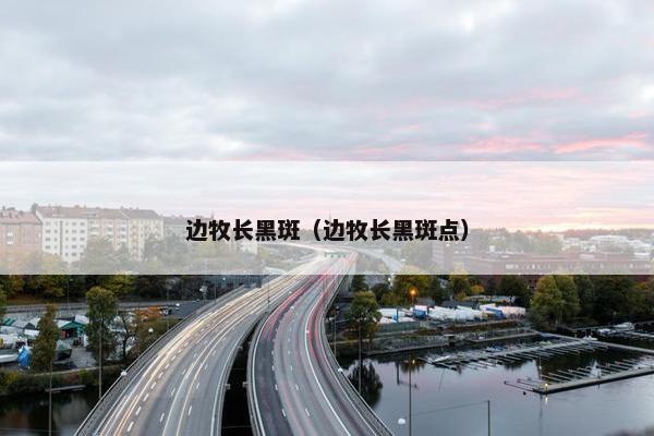 边牧长黑斑（边牧长黑斑点）