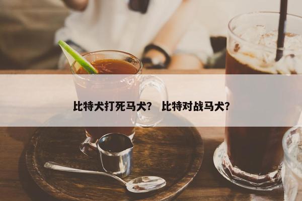 比特犬打死马犬？ 比特对战马犬？