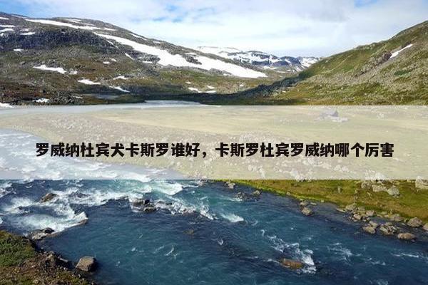 罗威纳杜宾犬卡斯罗谁好，卡斯罗杜宾罗威纳哪个厉害
