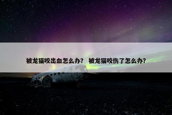 被龙猫咬出血怎么办？ 被龙猫咬伤了怎么办？