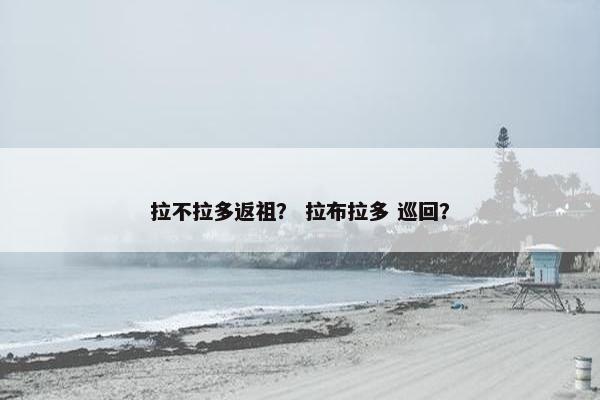 拉不拉多返祖？ 拉布拉多 巡回？