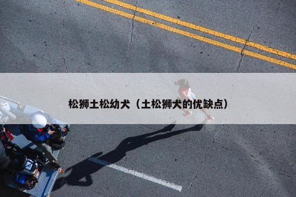 松狮土松幼犬（土松狮犬的优缺点）