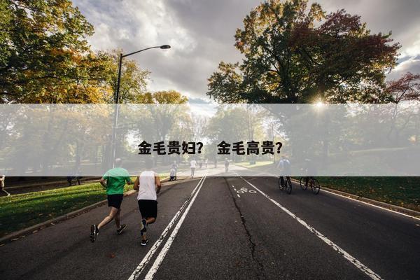 金毛贵妇？ 金毛高贵？