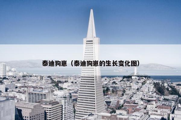 泰迪狗崽（泰迪狗崽的生长变化图）