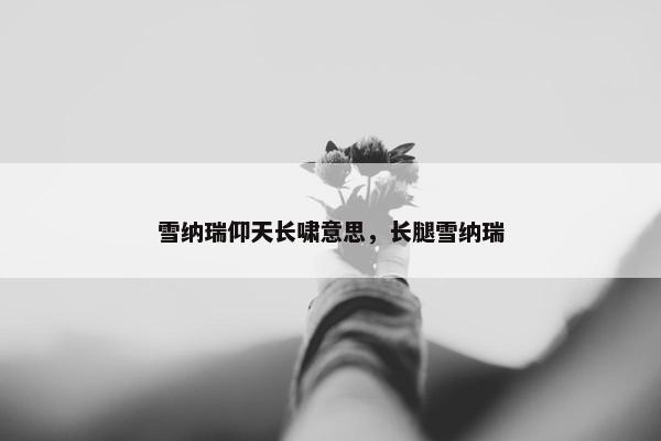 雪纳瑞仰天长啸意思，长腿雪纳瑞