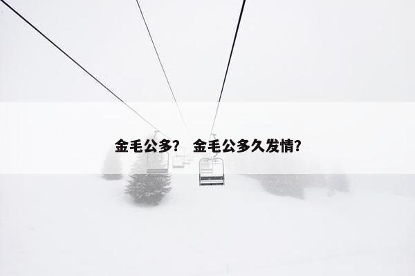 金毛公多？ 金毛公多久发情？