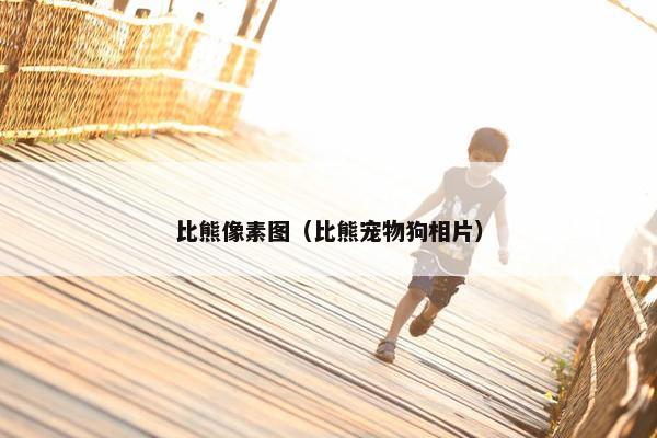 比熊像素图（比熊宠物狗相片）