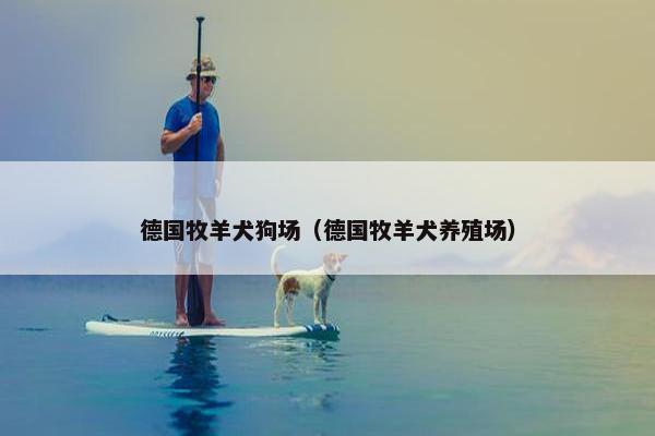 德国牧羊犬狗场（德国牧羊犬养殖场）