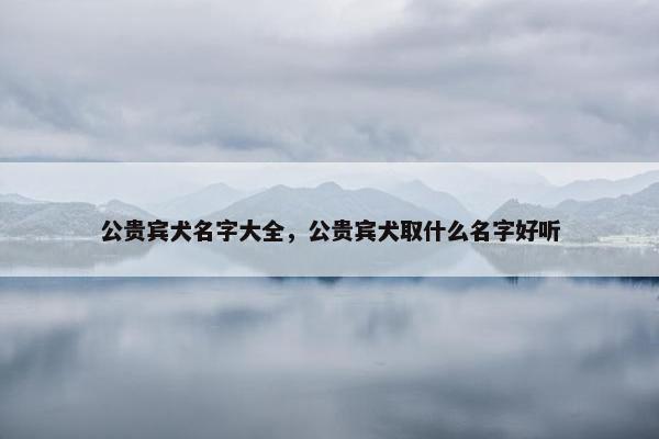 公贵宾犬名字大全，公贵宾犬取什么名字好听