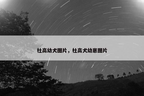 杜高幼犬图片，杜高犬幼崽图片