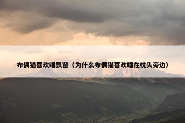 布偶猫喜欢睡飘窗（为什么布偶猫喜欢睡在枕头旁边）